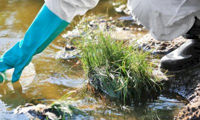 Commessi 6.979 illeciti nei primi dieci anni dalla legge sugli ecoreati