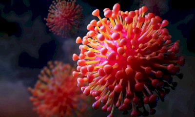 Covid-19: sintomi, diffusione e l’urgenza di combattere la nuova variante LP.8.1