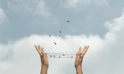 Fine vita, in arrivo un disegno di legge sulle cure palliative