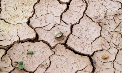 Il problema della desertificazione minaccia sempre di più il suolo italiano