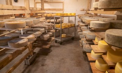 L’Italia diventa il primo esportatore europeo di formaggi