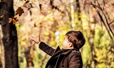 Foliage e fantasia: come trasformare le foglie autunnali in gioco per i più piccoli