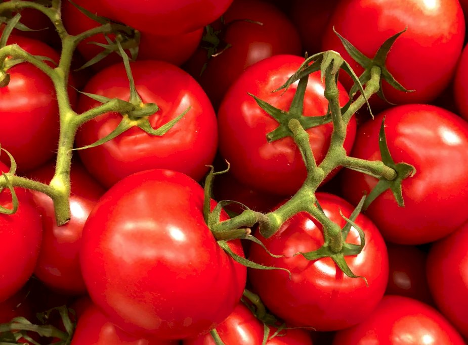 Epidemia di salmonella in 17 Paesi Ue: pomodorini siciliani nel mirino