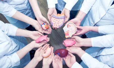 L’Italia, ancora una volta, ai vertici europei per donazione di organi