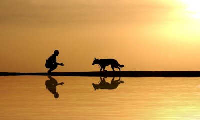 In una grotta ligure 14.400 anni fa uomo e cane iniziavano a interagire