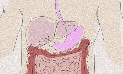 Ricerca clinica: al via il bando Ficog-Fondazione Veronesi sul tumore del pancreas