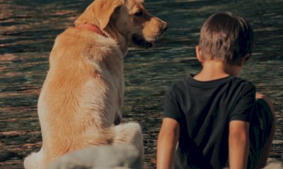 Giornata mondiale del cane: le mete e i viaggi pi&ugrave; amati dagli italiani