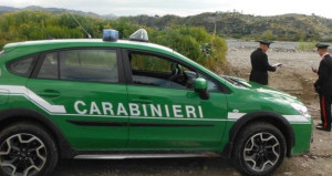 Maltrattamento animali: sequestri e denunce in Romagna