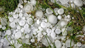 Maltempo, colture decimate da agosto pazzo