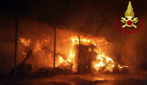 Rovigo: azienda agricola distrutta dalle fiamme