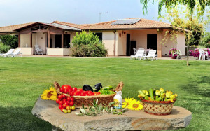 In aumento la percentuale del turismo legato alla natura