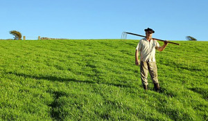 Fiera del Levante, al sud corsa alla terra per 18mila giovani