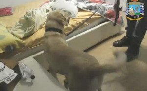 Arrestate cinque persone ad Alessandria per estorsione (VIDEO)