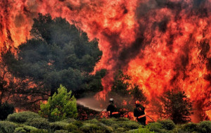 Nel 2018 incendi in calo del 90 percento