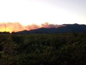 Pisa: non è ancora spento l'incendio sul Monte Serra