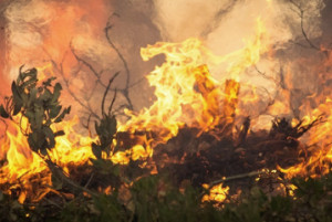 Incendi, con Monte Serra 13.600 ettari in fiamme
