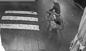 Padova: preso l'autore di alcuni furti nel centro storico