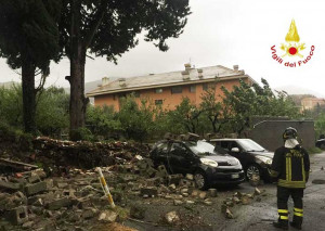 Alberi killer, 564 milioni di mq senza cura