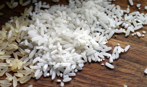 Agricoltori in piazza contro l’invasione di riso asiatico