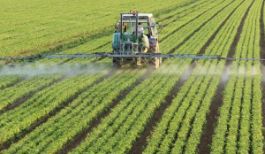 Pil salvato solo dall’agricoltura con +1,6%