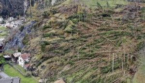 Inseriti nella Manovra i voucher salvaboschi