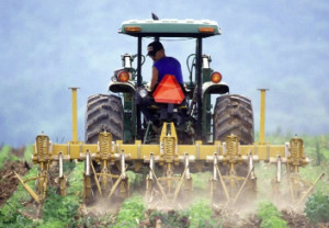 Lavoro, con +4,2% agricoltura batte industria e servizi
