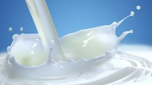 Coldiretti: 'Latte, niente trattativa senza giusto prezzo a pastori'