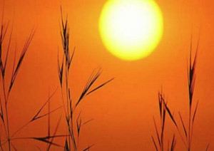 Caldo, con finta primavera colture in tilt