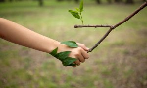 Earth Day 2021: cos'è e perché si celebra