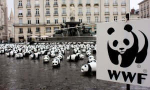 Il WWF compie 60 anni