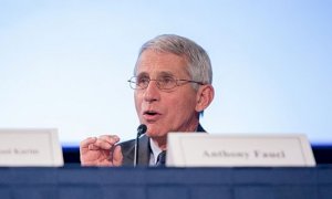 L'immunologo Anthony Fauci: 