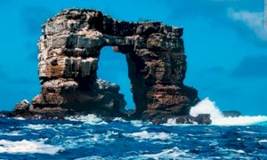 Galapagos, crolla l'Arco di Darwin: DiCaprio dona 43 milioni