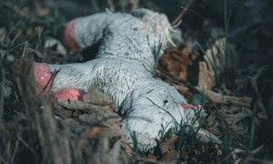 Minori scomparsi, arriva la tecnologia a supporto delle forze dell'ordine