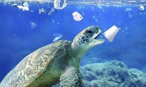 Salviamo il mare dalla plastica, oggi è la Giornata Mondiale degli Oceani
