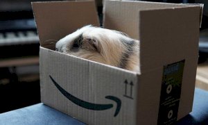 Amazon Prime Day, due giorni di super sconti: guida alle migliori offerte
