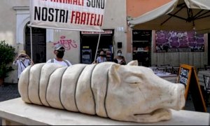 Roma, scoppia l'ira dei vegani contro la statua della porchetta a Trastevere