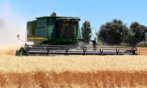 Morte due donne in un campo di mais. Bracciante indagato per omicidio colposo