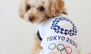 Tokyo 2020, la cerimonia d'apertura delle Olimpiadi: dove vederla in tv