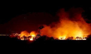 In fiamme il sud Italia, roghi in Calabria e Sicilia. Per le autorità sono dolosi