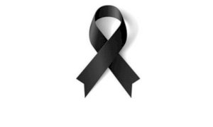 Morto il nipote di Sharon Stone, l'attrice lascia Venezia per tornare a casa