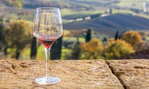 Vino, la produzione made in Italy è leader nel mondo nonostante il Covid