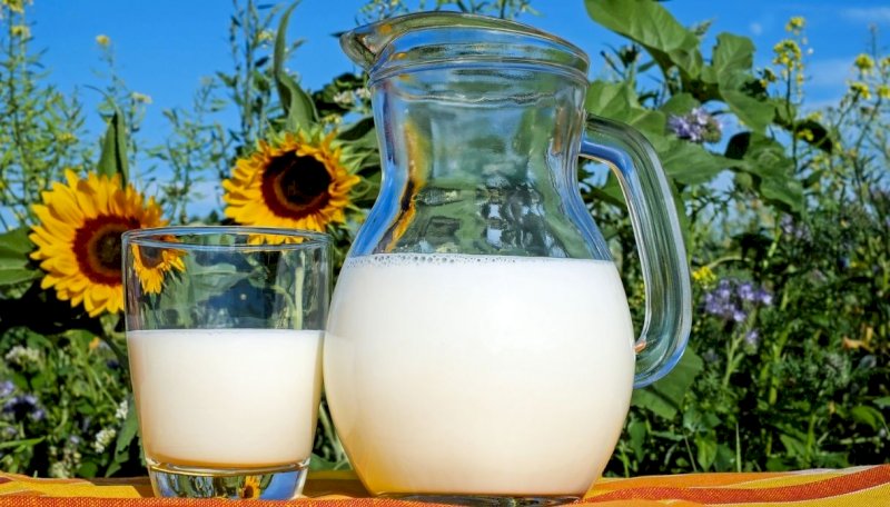 I produttori italiani di latte rischiano il collasso e lanciano l'allarme: le stalle stanno chiudendo