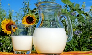 I produttori italiani di latte rischiano il collasso e lanciano l'allarme: le stalle stanno chiudendo