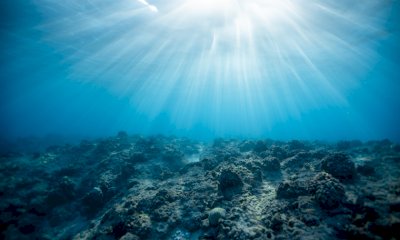 Nemo's Garden, ll futuro dell'agricoltura