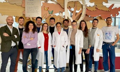 Tumore al pancreas, un nuovo studio dà speranze