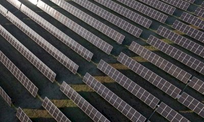 Bollette luce e gas: cosa succede se non fai la migrazione